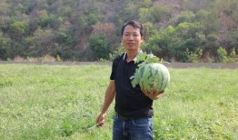 林博士吃瓜,揭秘娱乐圈幕后真相