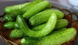 鼓楼思思吃瓜,揭秘娱乐圈幕后故事