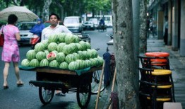 在上海吃瓜群众,吃瓜群众的日常百态