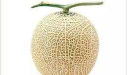 吃很多瓜头像微信,揭秘“吃很多瓜”头像的微信魅力