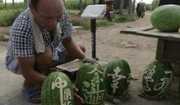 拳铺卖茶叶吃瓜,拳铺里的悠闲时光