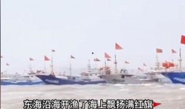 浙江渔船吃瓜图,夏日渔港的悠闲时光