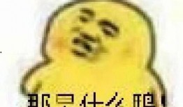 吃瓜的小孩表情包