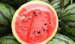 瓜米子咋吃,传统小吃的新吃法