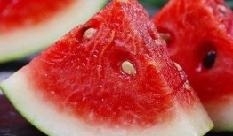 搜索故事吃瓜上头,揭秘网络搜索背后的故事