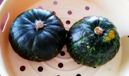 中午吃贝贝瓜,贝贝瓜的清新滋味之旅