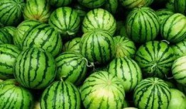 无偿的吃瓜群,免费畅享的“吃瓜”社群，带你领略网络世界的趣味与温情