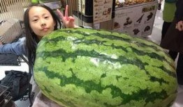 for you吃瓜,揭秘“for you”吃瓜背后的娱乐真相