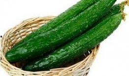 绿色吃瓜,吃出健康与环保新风尚