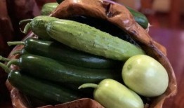 网红吃瓜aaa,揭秘娱乐圈幕后真相