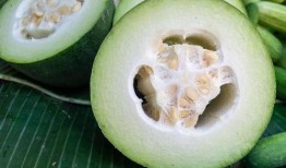 郑州瓜吃史,千年瓜吃文化的传承与发展