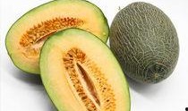 吃哈密瓜的时节,哈密瓜的甜蜜盛宴