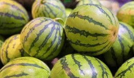 吃瓜都不甜的瓜,探寻瓜类背后的秘密