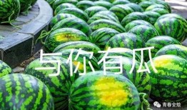 吃云南的大学瓜