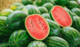 promax吃瓜,揭秘娱乐圈幕后风云