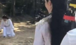 吃瓜群众女,她们眼中的娱乐圈风云