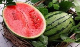 达旗网红吃瓜,揭秘网络红人的幕后生活