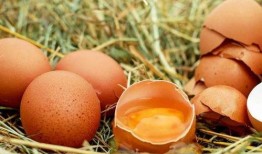 蛋壳姐吃瓜,揭秘娱乐圈背后的秘密与真相