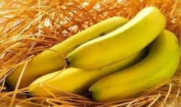 怀孕吃梨瓜吗,孕妇可以吃梨瓜吗？