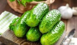 四人吃瓜图片,四口之家共享夏日瓜果时光