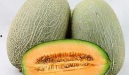 哺乳可以吃蜜瓜吗,营养与安全的探讨