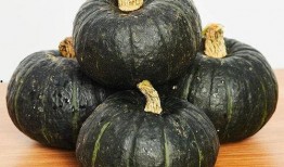 中午吃贝贝瓜,贝贝瓜的清新滋味之旅