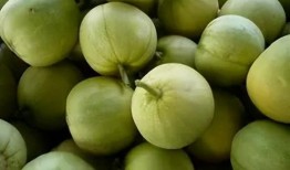 吃两瓜的视频,探寻夏日消暑佳肴