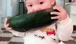 吃瓜糖宝视频,揭秘甜蜜背后的秘密