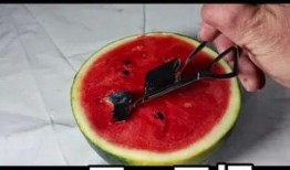 全网吃瓜神器,揭秘娱乐圈幕后真相！