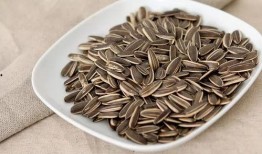 夸瓜子瓜怎么吃,解锁美味新境界