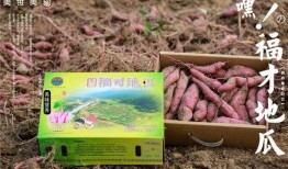 吃白沙瓜的好处,解锁健康与美味的双重益处