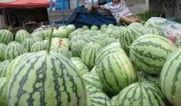 云幕宾馆吃瓜,揭秘吃瓜群众的欢乐盛宴