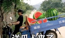 喝酒吃瓜段子文案,笑谈人生百态