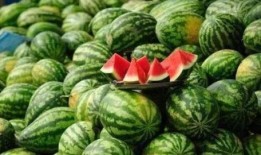 朝庭吃瓜系统,揭秘宫廷中的八卦风云