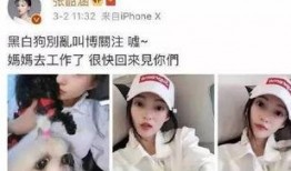 吃瓜二三事,揭秘娱乐圈幕后真相