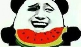 瓜皮联盟吃瓜群众,揭秘吃瓜群众的狂欢盛宴