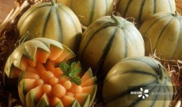 吃瓜带密码,揭秘网络热词背后的文化密码