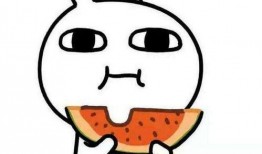 理性吃瓜的真相,揭秘网络舆论背后的真相