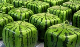 用卡吃瓜,揭秘信用卡消费背后的秘密与技巧