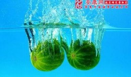 梦见很多瓜后来在吃瓜,瓜果满园，吃瓜解谜之旅