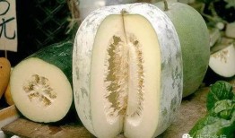 小信吃瓜,揭秘娱乐圈那些不为人知的幕后故事