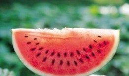 吃瓜还是不吃瓜好呢图片,揭秘网络热议背后的真相