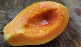 小叶蜜汁吃瓜图片大全