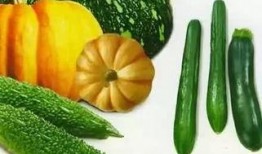 阿若吃瓜,揭秘娱乐圈那些不为人知的幕后故事