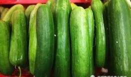 广东人吃生瓜还是熟瓜,广东人偏爱生瓜还是熟瓜之谜