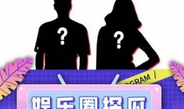 娱乐圈吃瓜试题,揭秘明星背后的秘密与争议