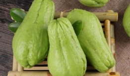 咋吃佛手瓜,探索健康美味的烹饪新境界