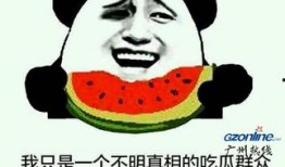 对吃瓜的形容,揭秘吃瓜群众的欢乐时光