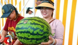 全网吃瓜王,揭秘娱乐圈幕后真相，带你领略明星们的真实生活