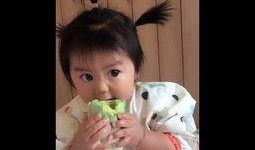 吃瓜糖宝视频,揭秘甜蜜背后的秘密